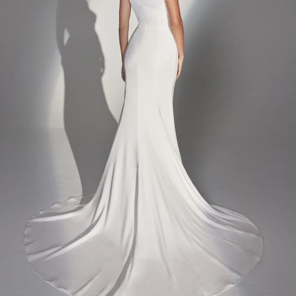Justin Alexander Signature gown - Picture 7 of 17